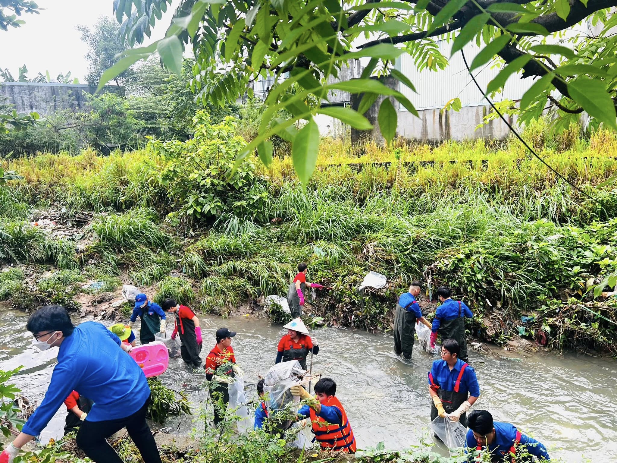 571205201 1266863012136886 2568727951239272489 n